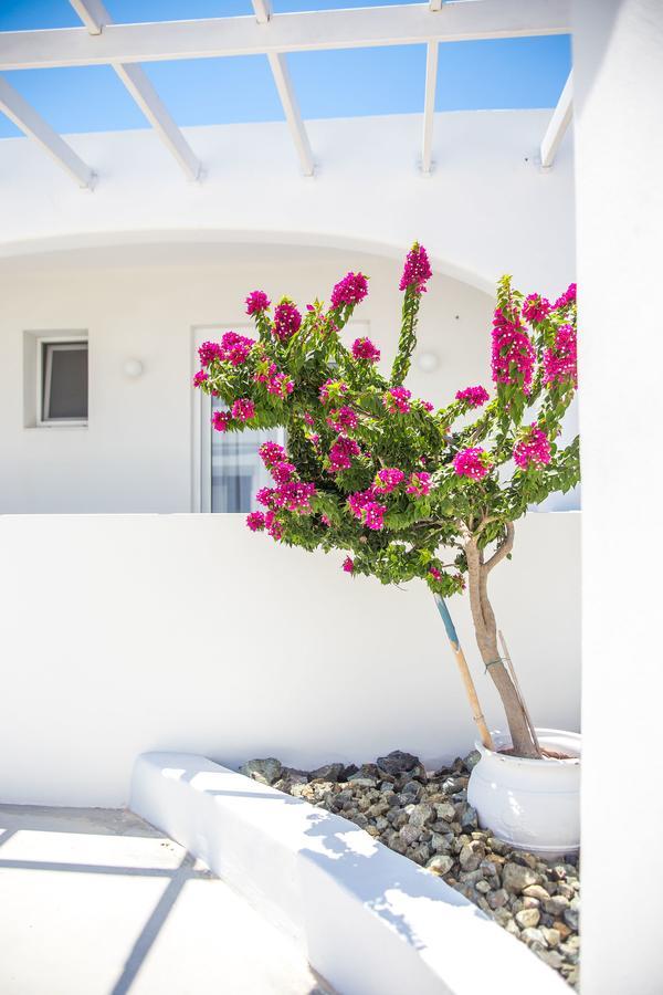 White Passion Villa Afantou Exterior foto